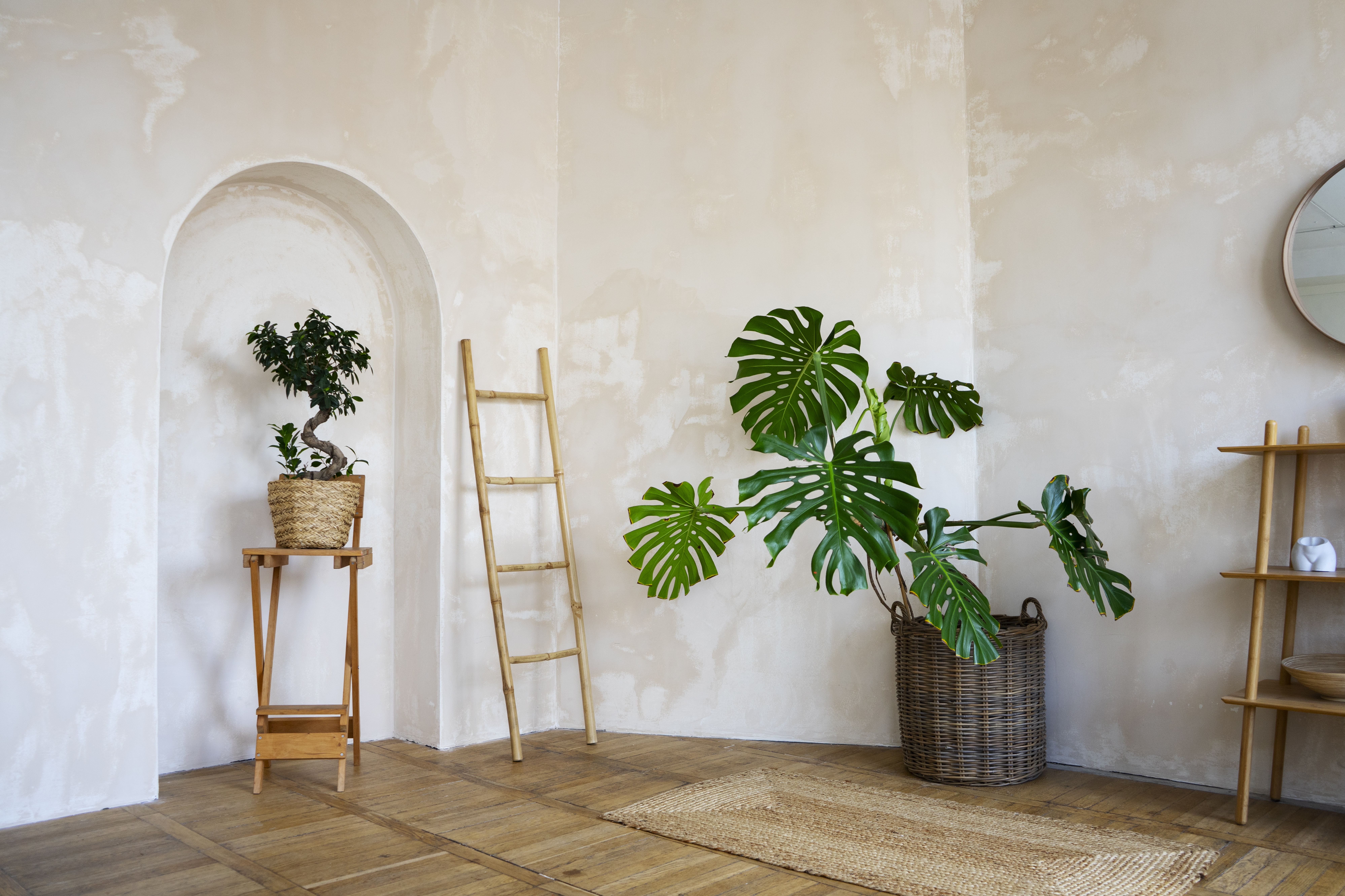 Ecofriendly-plantas-interiores