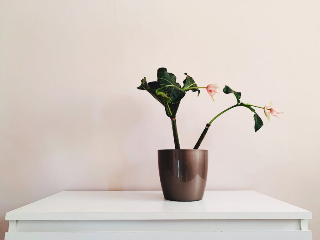 minimalismo y maximalismo en diseño